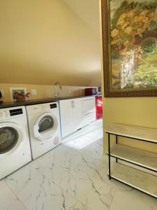 a laundry room with a washing machine and a painting at UVIC Ocean View Private Guesthouse in Victoria