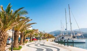 a street with palm trees and a marina with boats at Menelino, next to local bus and airport station in Argostoli