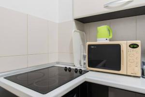 A kitchen or kitchenette at Spacious 1-bedroom apartment