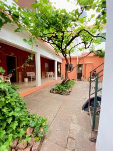 a courtyard with a tree in the middle of a building at Shekináh in Villa Cura Brochero