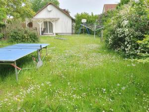 a yard with a ping pong table in the grass at Landidyll in Ummanz