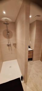 a bathroom with a shower and a sink at L'Arcadia Chambres d'hôtes près de Vaison la Romaine et Mont Ventoux à Crestet in Crestet +13 photos
