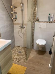 a bathroom with a toilet and a glass shower at Cabanon in Sanary-sur-Mer