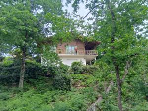 a house on the side of a hill with trees at Chalet des dunes in Biscarrosse