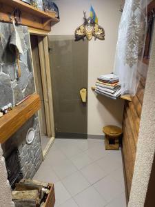 a bathroom with a shower and a fireplace at Садиба у Оксани in Verkhneye Sinevidnoye +51 photos