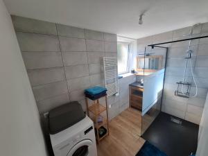 a small bathroom with a washing machine and a window at Logis du fresne in Saint-Lormel