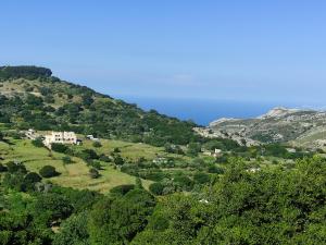 a green hillside with a house on top of it at Pera Horio House in Apérathos