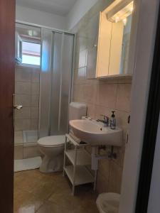 un bagno con WC, lavandino e doccia di Haus Sabina a Palit
