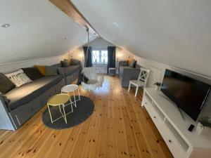 a living room with a couch and a flat screen tv at Järvsöbranten 7 med 10 sovplatser och vedeldad badtunna, 400 m från lift in Järvsö