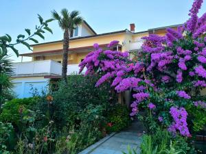 un giardino con fiori viola di fronte a un edificio di Haus Sabina a Palit Altre 26 foto
