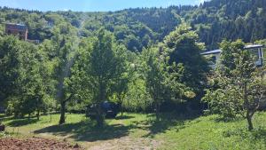 a truck parked in a field with trees at Deniz house apart in Güzelce +2 photos