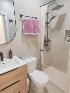 a bathroom with a toilet and a sink and a shower at Ancha 4 en pleno centro in Sanlúcar de Barrameda +16 photos