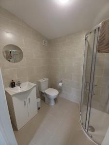 a bathroom with a toilet and a sink and a shower at Mount Hillary Holiday Pods in Cork