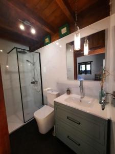 a bathroom with a shower and a toilet and a sink at El Portalon de Luena in Cuena