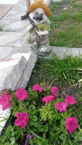 a statue of a dog with a hat and flowers at Casa Dept Alquila dia in Oro Verde