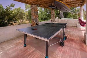 a ping pong table on top of a deck at Annas Katikia in Drymonas