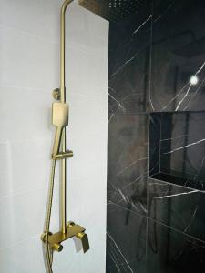 a bathroom with a shower with a brass shower head at Alegria Suite in Ermoupoli +32 photos