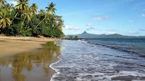 a beach with palm trees and the ocean at Le Cocon de Tahiti Plage in Sada