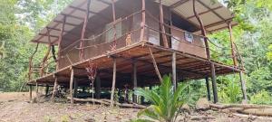 a tree house being constructed in the jungle at The Forest Cabin in Parrita