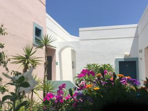 A garden outside Hotel Kleopatra