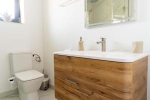 a bathroom with a sink and a toilet at Casa Agigea in Agigea