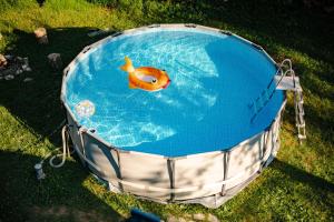 an empty swimming pool with a gold fish in it at Sanjska Hiša Vojsko in Idrija