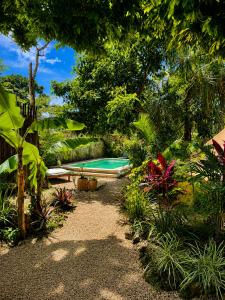 a swimming pool in a garden with trees and plants at Shamalay - Nomad Experience in Bacalar