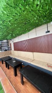 two tables and a couch with a green wall at X-ones place command in Meran