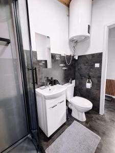 a bathroom with a toilet and a sink and a shower at Dovolenkový dom in Mojš +28 photos
