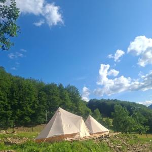 two tents in a field with trees in the background at CampingSiriu in Caşoca