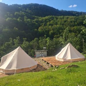 two tents in a field with a mountain in the background at CampingSiriu in Caşoca +6 photos