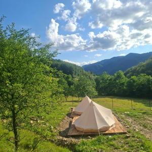 two tents in a field with mountains in the background at CampingSiriu in Caşoca