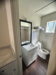 a bathroom with a sink and a toilet and a mirror at Union Avenue Motel in Portland