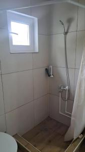 a bathroom with a shower with a window and a toilet at Smestaj kod Sneze in Dojkinci +22 photos