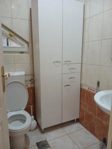 a bathroom with a toilet and a sink at Drina Lake House in Zvornik +13 photos
