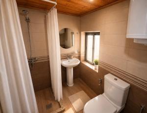 a bathroom with a toilet and a sink at Guesthouse Pashko in Theth +18 photos
