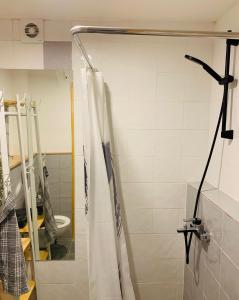Bilik mandi di Linden apartment