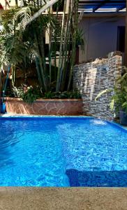 a large blue swimming pool in a building with plants at Posada Temazcal Santo Domingo in Tepoztlán +41 photos