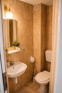 a bathroom with a sink and a toilet and a mirror at Casa Drumetului in Comarnic