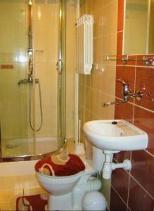 a bathroom with a toilet and a shower and a sink at U Stenia in Murzasichle