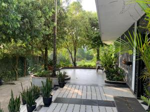 a courtyard with potted plants and trees at Hostal Monte Verde in Zaragoza