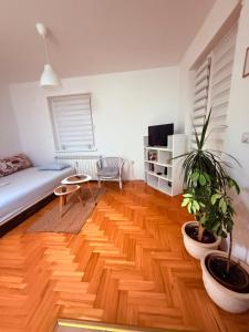 a living room with a wooden floor and a couch at Stari Cerak in Žarkovo