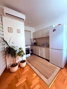 a kitchen with a refrigerator and two potted plants at Stari Cerak in Žarkovo +4 photos