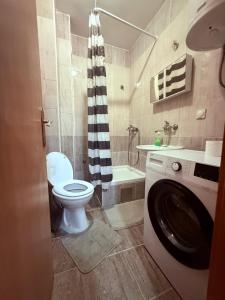 a bathroom with a toilet and a sink and a washing machine at Stari Cerak in Žarkovo