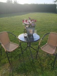 two chairs and a table with a bottle of wine and flowers at Emville Lodge in Galway