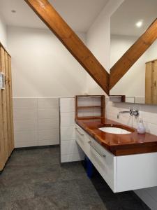 a bathroom with a sink and a wooden ceiling at Deichoase bei Friesens mit Sauna in Barsfleth +12 photos