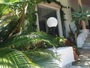 A garden outside Hotel Kleopatra