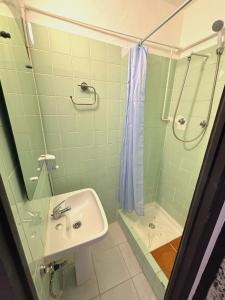 a bathroom with a sink and a shower at Evans Realty - Hostal in Fuengirola