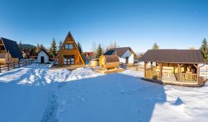 a group of houses in the snow at DB Forest Resort in Bucsin