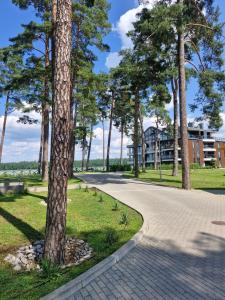a winding road in a park with trees at Apartament BLASK Jeziora in Augustów